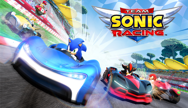 

Team Sonic Racing (Nintendo Switch EU)